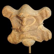 Hominoid terracotta head